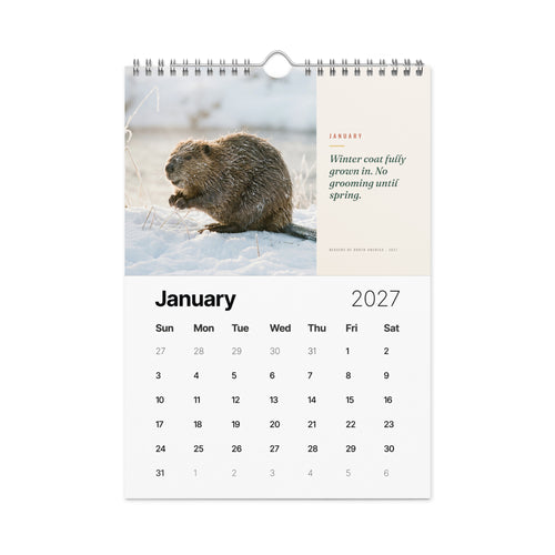 Beavers of North America 2027 Wall Calendar, view 2