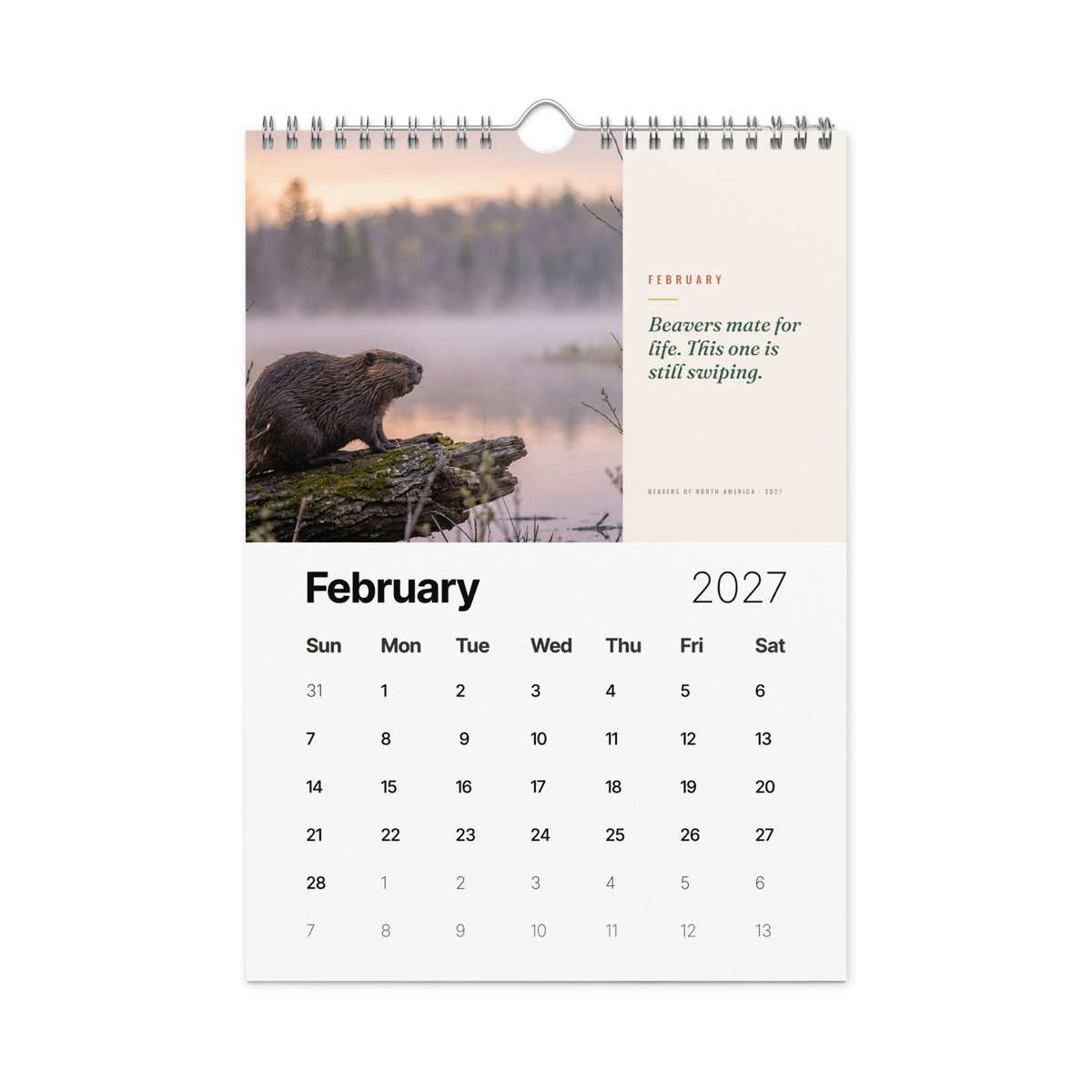 Beavers of North America 2027 Wall Calendar, view 3