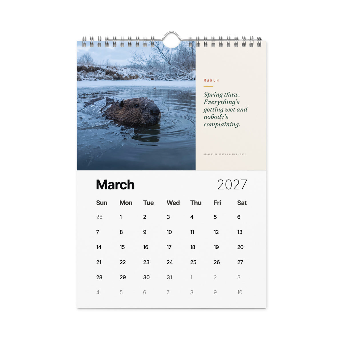 Beavers of North America 2027 Wall Calendar, view 4